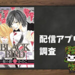 BLACK BIRD|全巻無料で読めるアプリ調査!