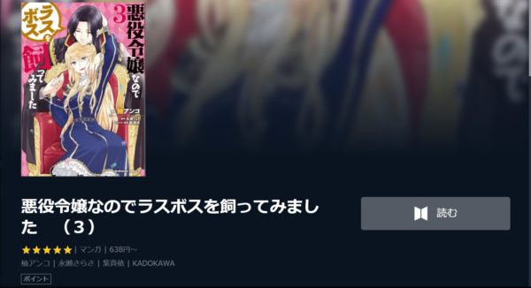 悪役令嬢なのでラスボス3