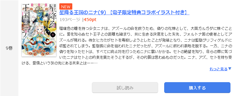 星降る王国のニナ1