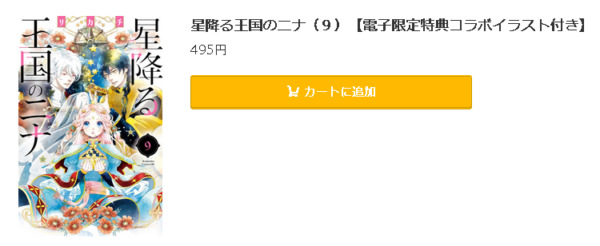 星降る王国のニナ5