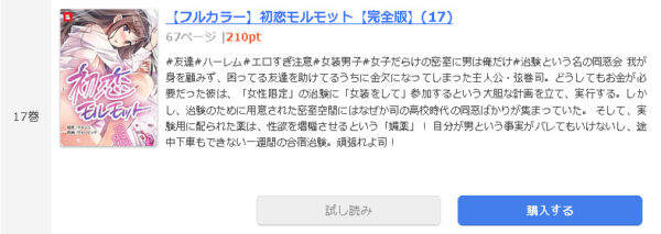初恋モルモット1